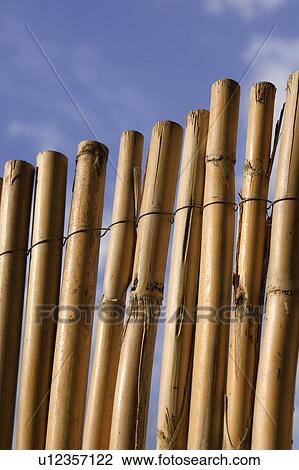 Bamboo, Barricade, Close-Up, Fence View Large Photo Image Stock Image - Bamboo, Barricade, Close-Up, Fence. Fotosearch