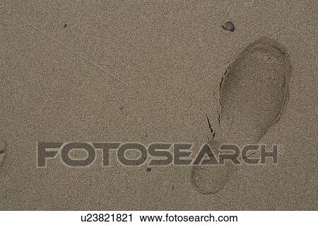 Stock Image - Beach, Brown, Close-Up, Day. Fotosearch