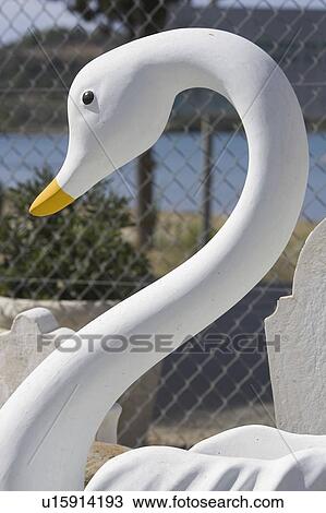 Beak, Carving, Chain-Link Fence, Close-Up, Contact Sports View Large Photo Image Stock Image - Beak, Carving, Chain-Link Fence, Close-Up, Contact Sports. Fotosearch