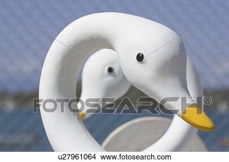 Beak, Close-Up, Day, Duck, Focus On Foreground View Large Photo Image Picture - Beak, Close-Up, Day, Duck, Focus On Foreground. Fotosearch