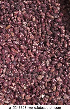 beans, cereal View Large Photo Image Stock Image - beans, cereal. Fotosearch