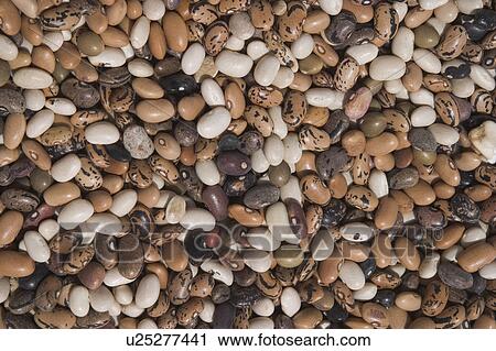 Stock Image - beans, cereal. Fotosearch