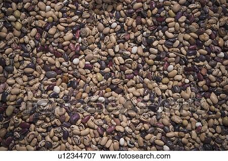 beans, cereal View Large Photo Image Stock Photo - beans, cereal. Fotosearch