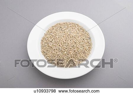Beans, Cereals, Close-Up, Component, Display View Large Photo Image Stock Photo - Beans, Cereals, Close-Up, Component, Display. Fotosearch