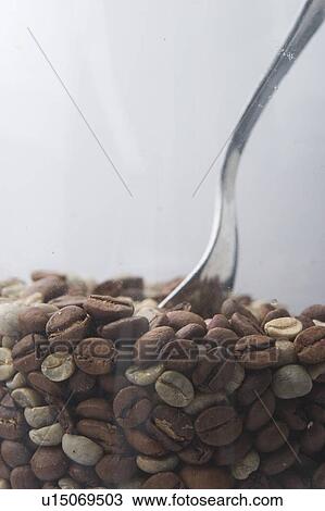 Beans, Coffee, Coffee Bean, Component, Container View Large Photo Image Stock Image - Beans, Coffee, Coffee Bean, Component, Container. Fotosearch
