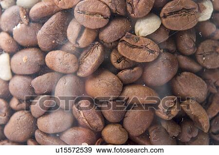 Beans, Coffee, Coffee Bean, Component, Container View Large Photo Image Stock Photo - Beans, Coffee, Coffee Bean, Component, Container. Fotosearch