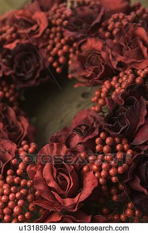 Stock Photo - Berry, Close-Up, Decorative, Flower, Flower Head. Fotosearch