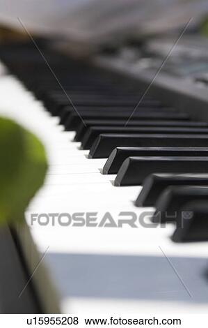 Black, Blurred, Close-Up, Outdoors, Musical Instrument View Large Photo Image Stock Photo - Black, Blurred, Close-Up, Outdoors, Musical Instrument. Fotosearch