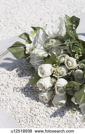 Stock Photo - Blooms, Blossoms, Bouquets, Buds, Burial Ground, Buried. Fotosearch