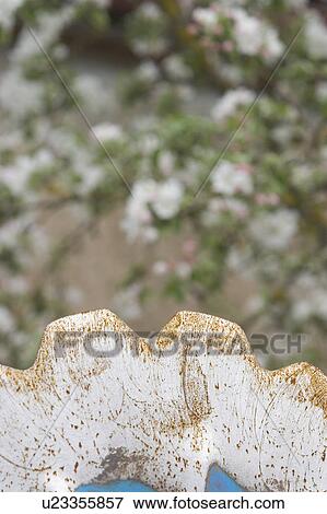 Stock Photo - blooms, calm, climate. Fotosearch