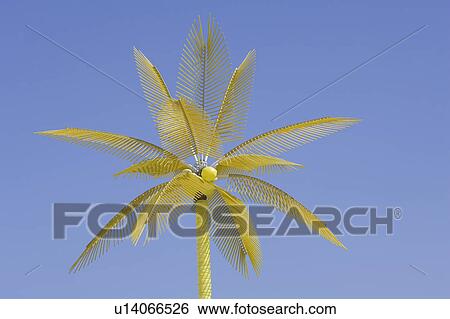 Stock Photograph - Blue, Branch, Clear Sky, Coconut, Coconut Palm Tree. Fotosearch