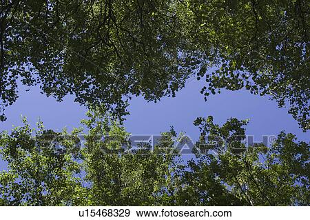 Stock Photo - Blue, Calm, Climate, Day. Fotosearch