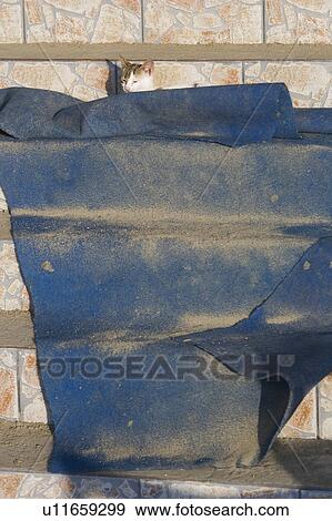 Stock Photo - Blue, Carpet, Close-Up, Day. Fotosearch