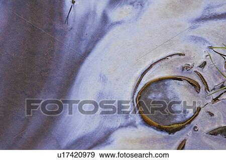 Blue, Chemical, Day View Large Photo Image Stock Photo - Blue, Chemical, Day. Fotosearch