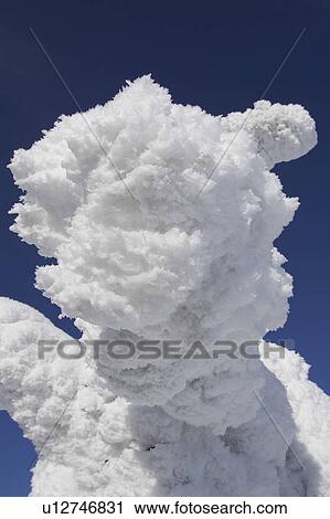 Stock Image - Blue, Clear Sky, Close-Up, Covering, Day. Fotosearch