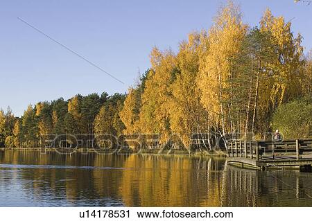 Blue, Clear Sky, Day, Grass View Large Photo Image Stock Image - Blue, Clear Sky, Day, Grass. Fotosearch
