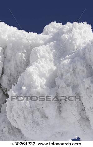 Stock Photo - Blue, Close-Up, Day, Evergreen Tree, Frozen. Fotosearch