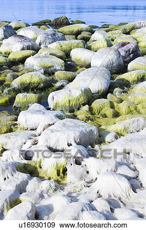 Blue, Day, Coast, Calm, Aquatic View Large Photo Image Stock Photo - Blue, Day, Coast, Calm, Aquatic. Fotosearch
