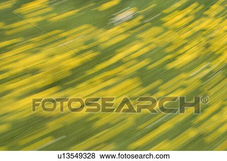 Stock Photo - blurry, calm, agriculture. Fotosearch