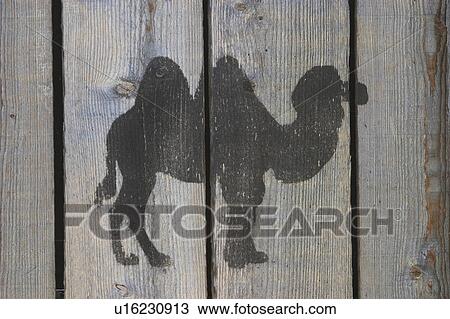 Stock Image - Board, Camel, Day, Displayed. Fotosearch