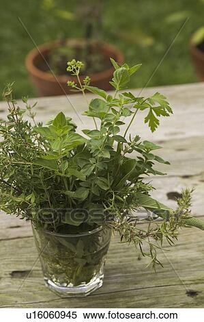 Stock Photography - Bouquet, Close-Up, Day, Focus On Foreground, Fresh. Fotosearch