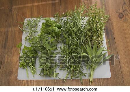 Stock Image - Bouquet, Green, Close-Up, Bunch, Assortment. Fotosearch
