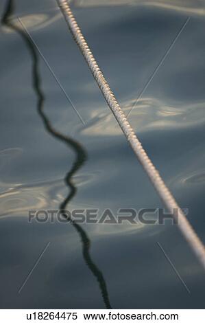 Stock Photography - Braided, Day, Outdoors. Fotosearch