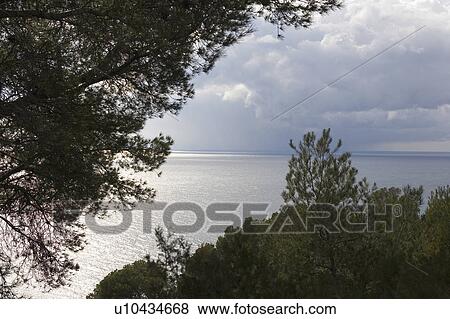Branch, Cloud, Cloudscape, Day, Green View Large Photo Image Stock Photo - Branch, Cloud, Cloudscape, Day, Green. Fotosearch