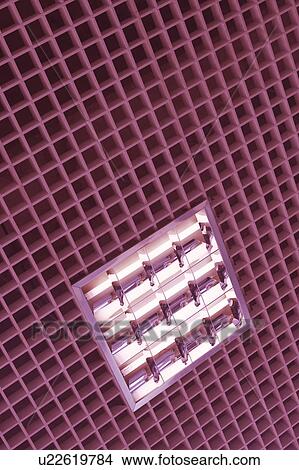 Picture - bright. Fotosearch