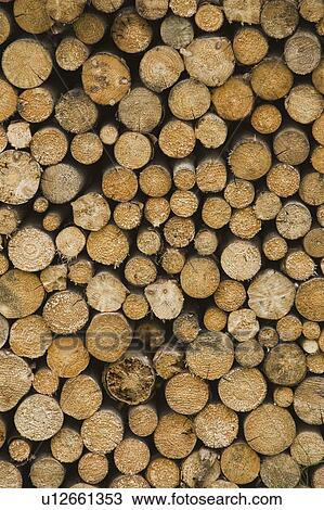 Brown, Circle, Close-Up, Day, Firewood View Large Photo Image Stock Image - Brown, Circle, Close-Up, Day, Firewood. Fotosearch