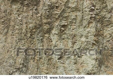 Stock Photograph - Brown, Close-Up, Day, Full Frame. Fotosearch