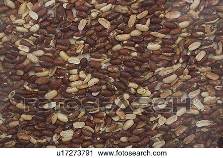 Stock Image - Brown, Close-Up, Dried Food, Dry, Extreme Close-Up. Fotosearch