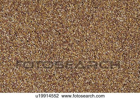Brown, Close-Up, Full Frame, Marble View Large Photo Image Stock Image - Brown, Close-Up, Full Frame, Marble. Fotosearch