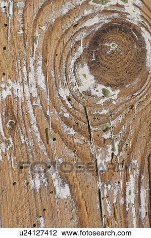 Stock Image - Brown, Cracks, Appearance. Fotosearch