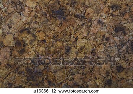 Stock Image - Brown, Wood, Cracks. Fotosearch