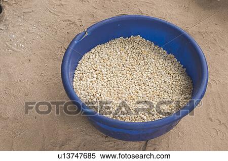 Stock Photography - bucket, cereal. Fotosearch