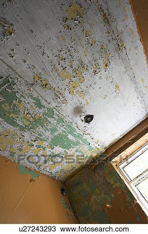 Building, Ceiling, Cracked Paint, Cracks, Day View Large Photo Image Stock Image - Building, Ceiling, Cracked Paint, Cracks, Day. Fotosearch