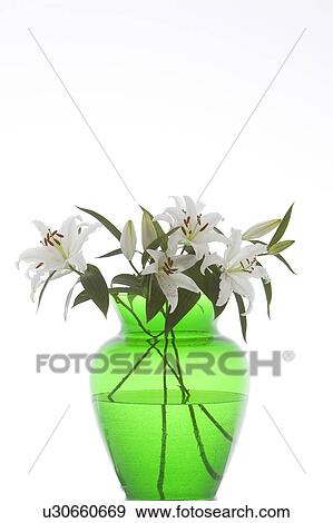 Stock Photo - Bunch Of Flowers, Flower, Close-Up, Arrangement. Fotosearch