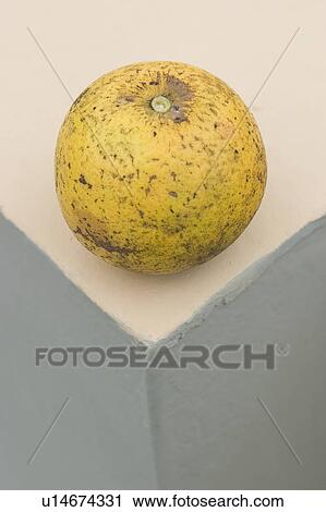 Stock Image - bunch. Fotosearch