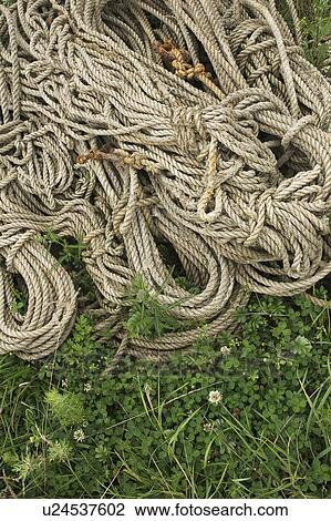 Stock Image - Bundle, Cable, Close-Up, Coil, Day. Fotosearch