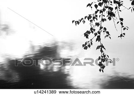 B&W, black & white, black and white, bw View Large Photo Image Stock Photo - B&W, black & white, black and white, bw. Fotosearch