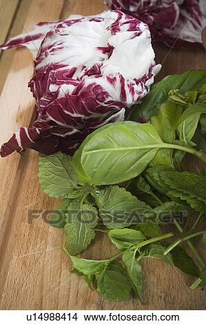 Cabbage, Close-Up, Food, Foodstuff, Green Vegetables View Large Photo Image Picture - Cabbage, Close-Up, Food, Foodstuff, Green Vegetables. Fotosearch