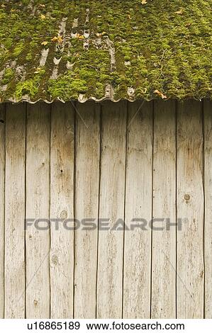 Cabin, Close-Up, Cottage, Covering, Day View Large Photo Image Stock Photo - Cabin, Close-Up, Cottage, Covering, Day. Fotosearch