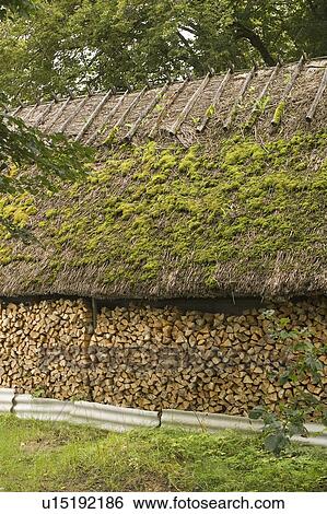Stock Photograph - Cabin, Close-Up, Cottage, Covering, Day. Fotosearch