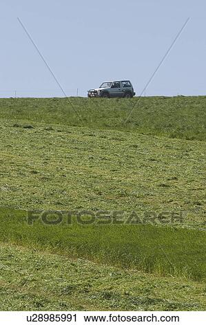 car, climate, automobile View Large Photo Image Stock Image - car, climate, automobile. Fotosearch