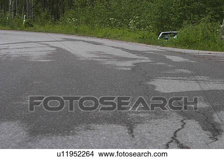 Picture - Car, Close-Up, Day, Environment, Grass. Fotosearch