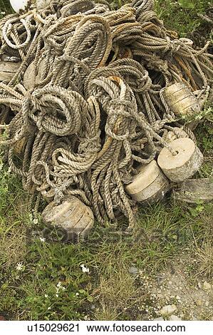 Close-Up, Coil, Cord, Day, Grass View Large Photo Image Stock Image - Close-Up, Coil, Cord, Day, Grass. Fotosearch