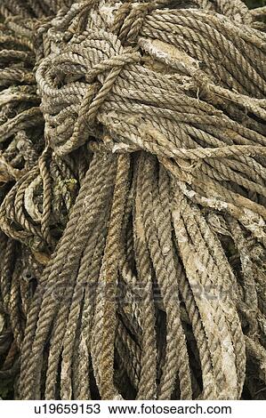 Close-Up, Coil, Cord, Day, Knot View Large Photo Image Stock Image - Close-Up, Coil, Cord, Day, Knot. Fotosearch