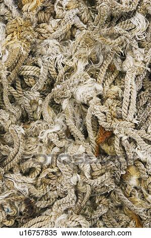 Close-Up, Coiled, Cord, Day, Fibers View Large Photo Image Stock Photography - Close-Up, Coiled, Cord, Day, Fibers. Fotosearch