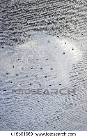 Close-Up, Colander, Day, Fabric, Full Frame View Large Photo Image Stock Photo - Close-Up, Colander, Day, Fabric, Full Frame. Fotosearch
